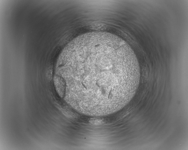 X0000074300602200609222337