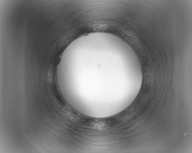 X0000074300604200609222337