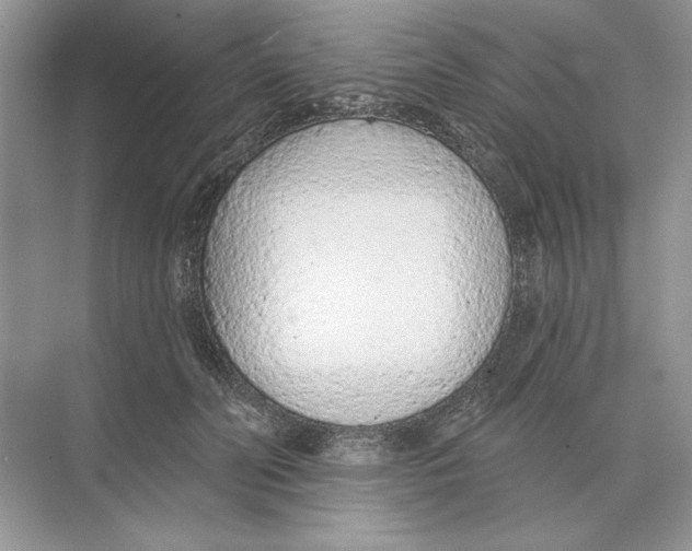 X0000074300606200609222337