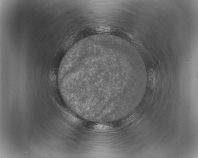 X0000074300614200609222336