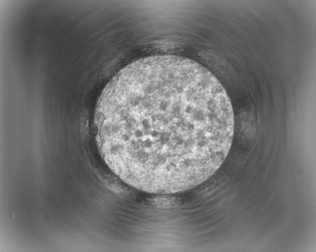 X0000074300615200609222336