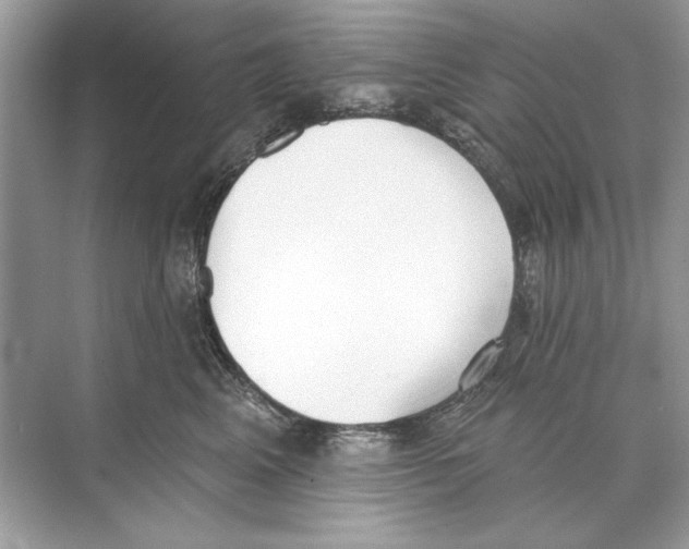 X0000074300617200609222336