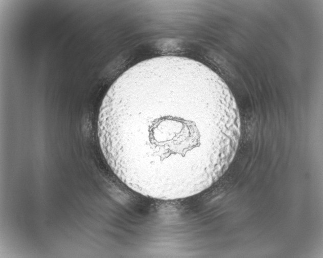 X0000074300618200609222336