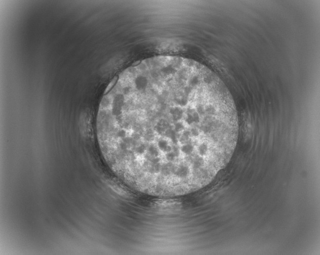 X0000074300619200609222336