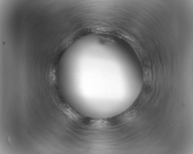 X0000074300621200609222336