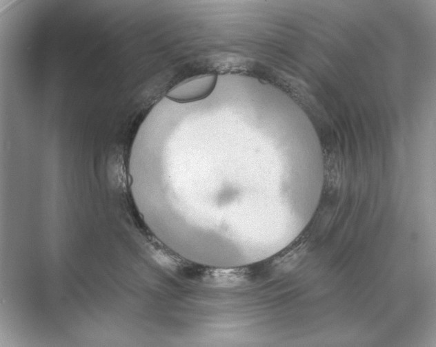 X0000074300622200609222336