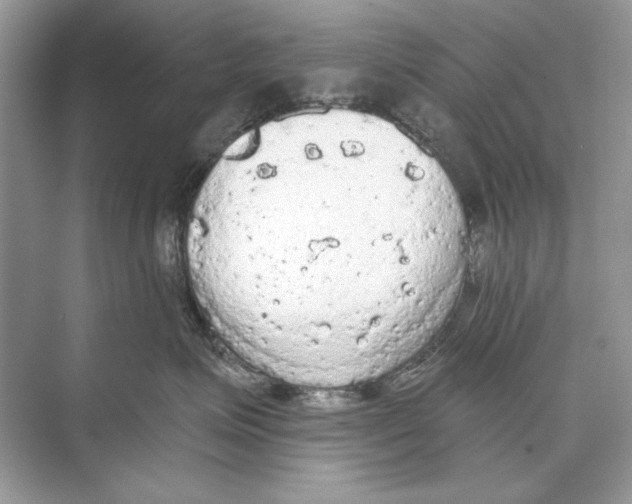 X0000074300623200609222336