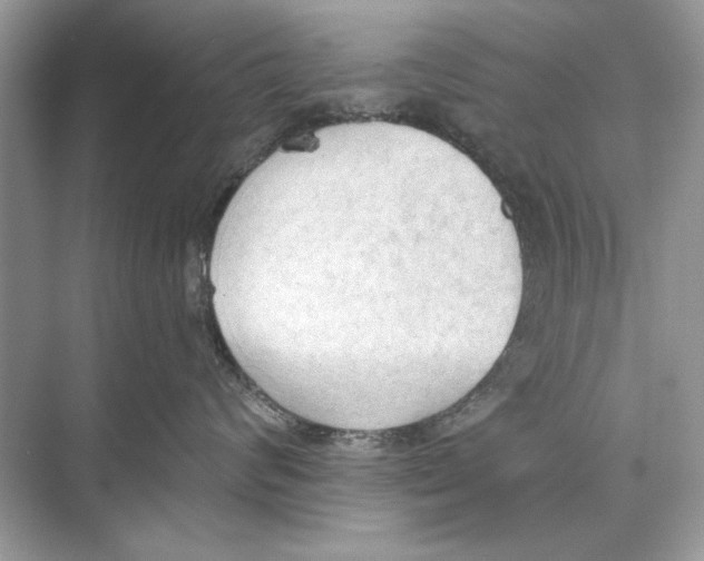 X0000074300624200609222336