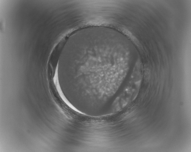 X0000074300626200609222336