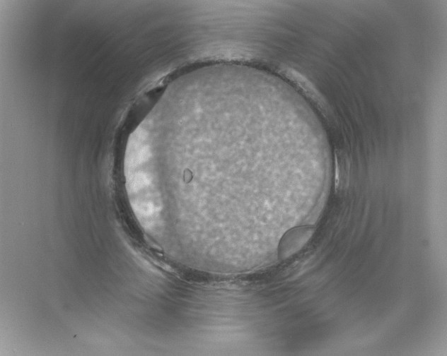 X0000074300627200609222336