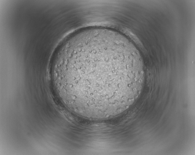 X0000074300628200609222336