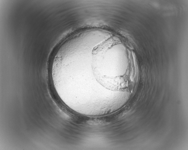 X0000074300630200609222336