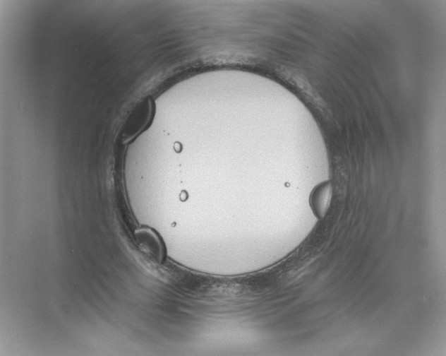 X0000074300631200609222336