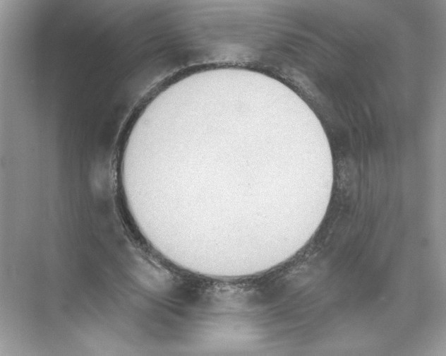 X0000074300632200609222336