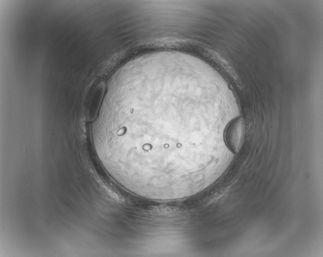 X0000074300633200609222336