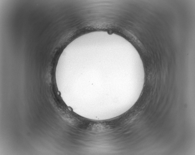 X0000074300635200609222336