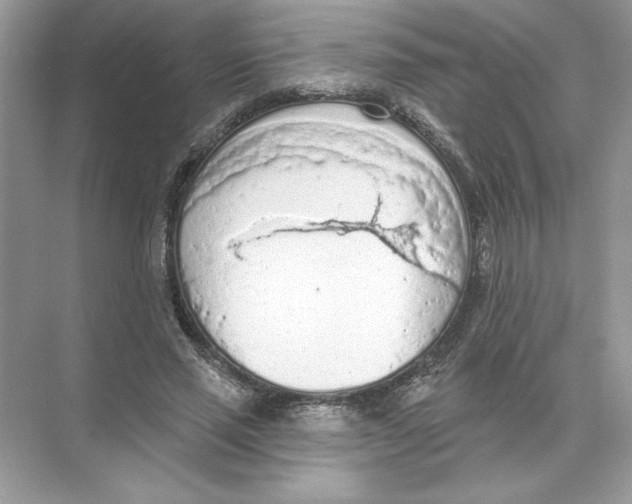 X0000074300637200609222336