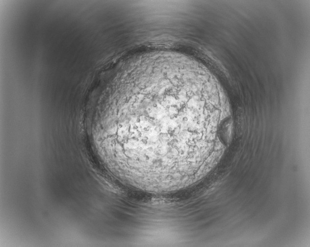 X0000074300641200609222336