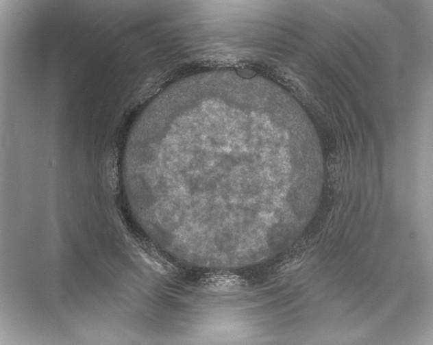 X0000074300642200609222336