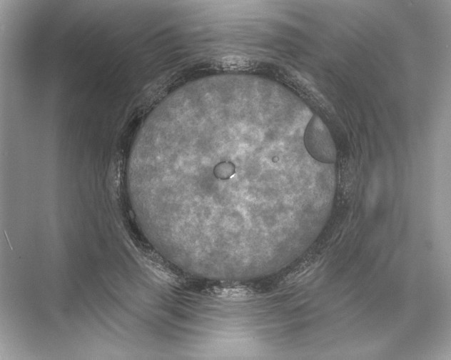 X0000074300645200609222336