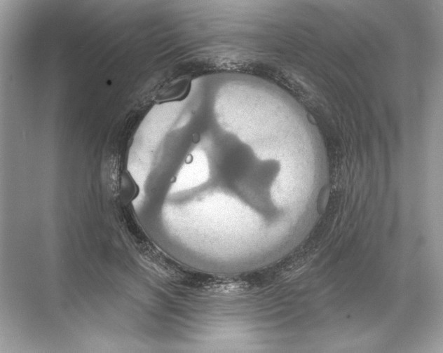 X0000074300646200609222336