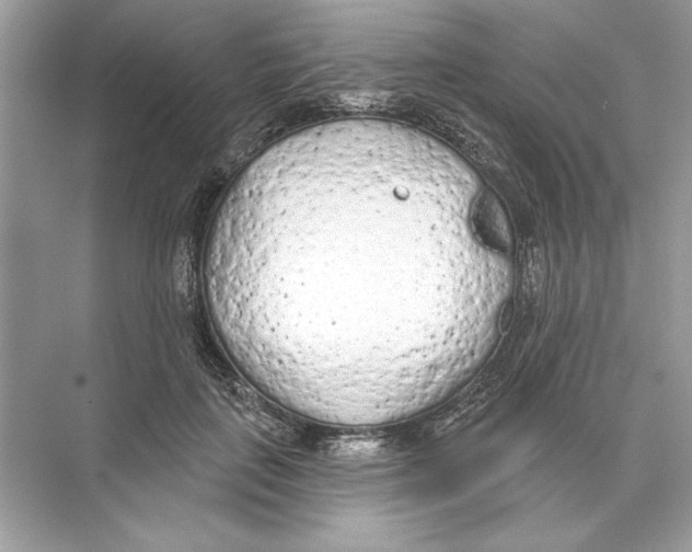 X0000074300651200609222336