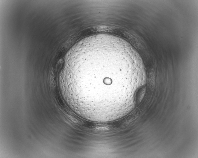 X0000074300653200609222336