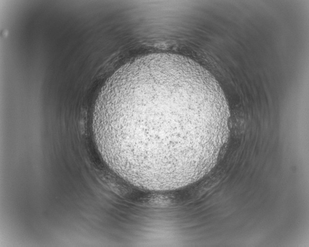 X0000074300656200609222336