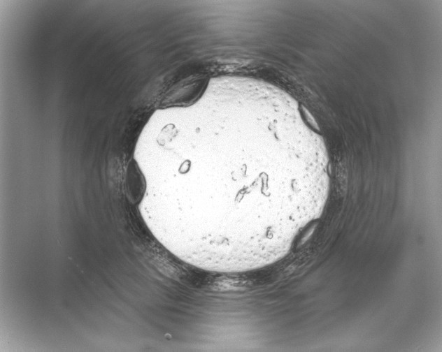 X0000074300657200609222336