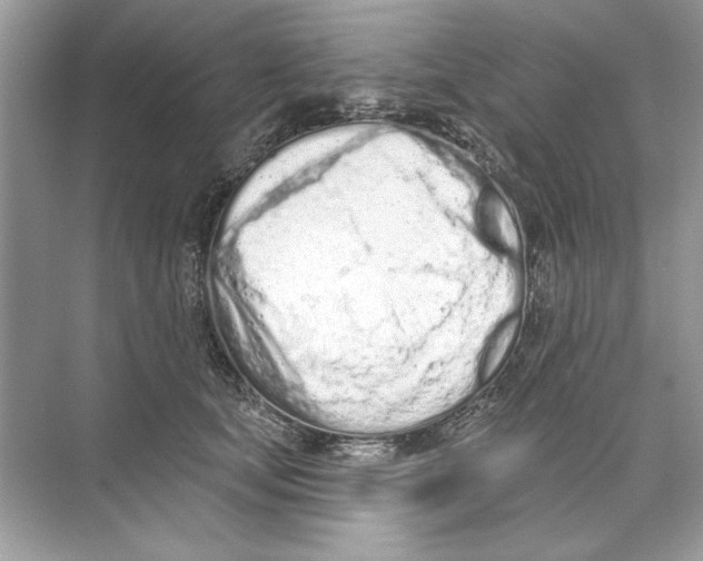 X0000074300659200609222336