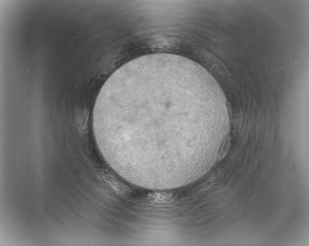 X0000074300660200609222336