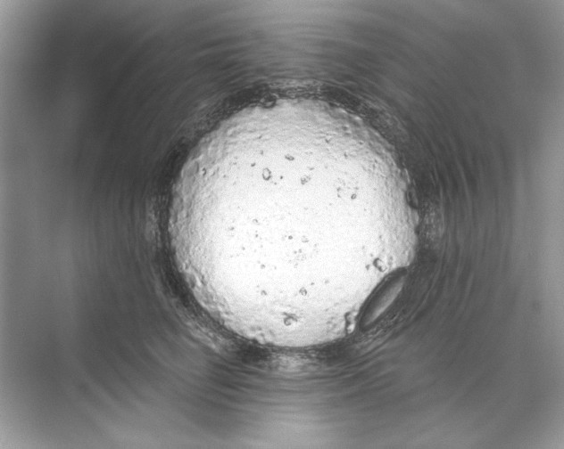 X0000074300662200609222336