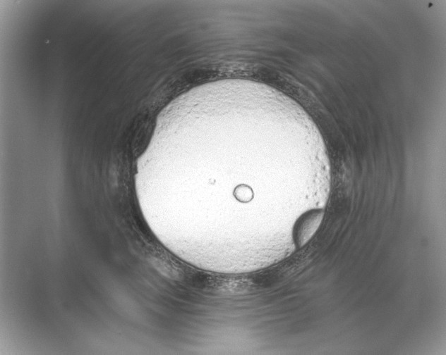 X0000074300663200609222336