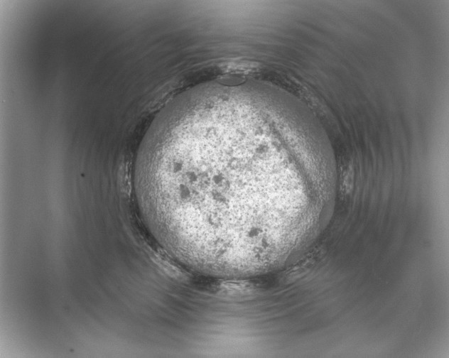 X0000074300666200609222336