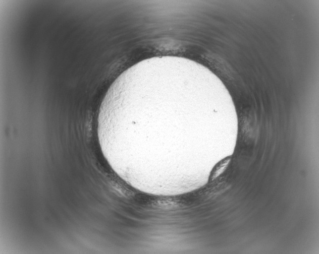 X0000074300668200609222336