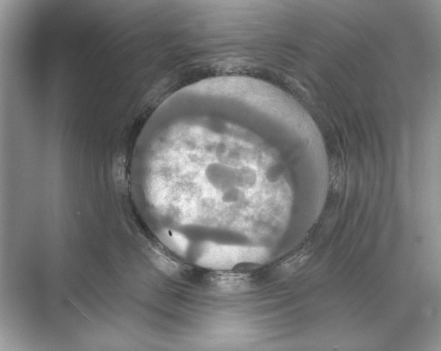 X0000074300670200609222336