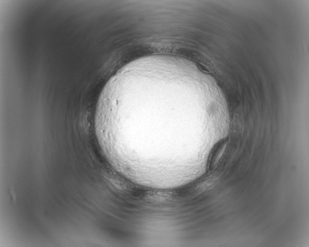 X0000074300671200609222336