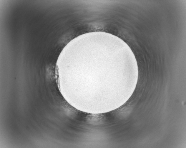 X0000074300672200609222336