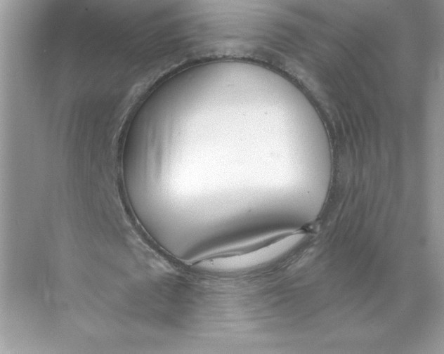 X0000074300673200609222335