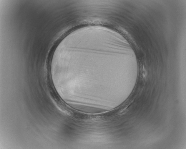 X0000074300674200609222335