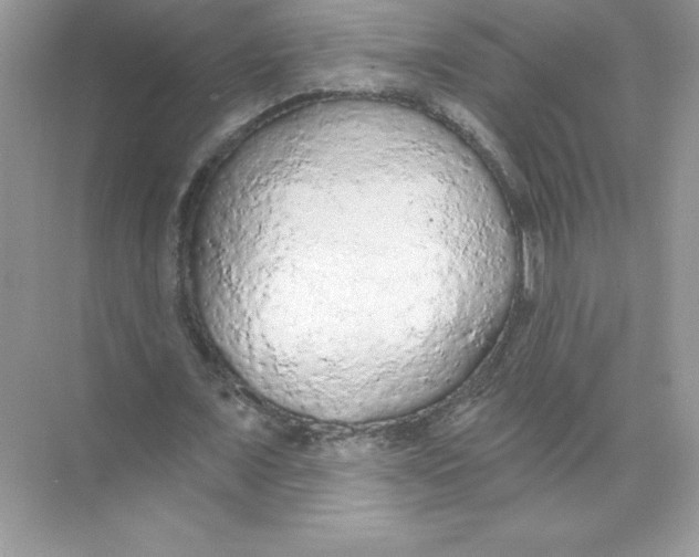 X0000074300675200609222335