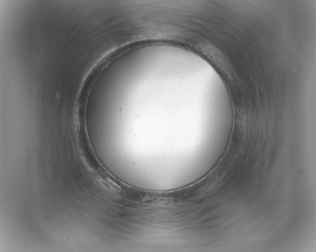 X0000074300676200609222335