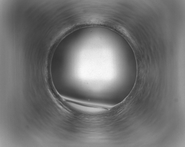 X0000074300677200609222335