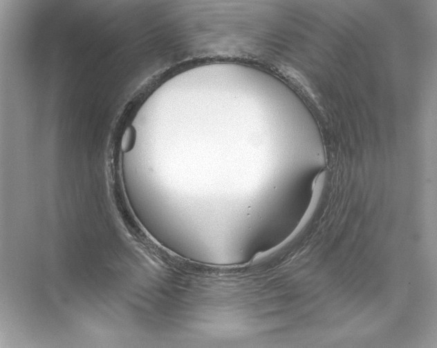 X0000074300680200609222335