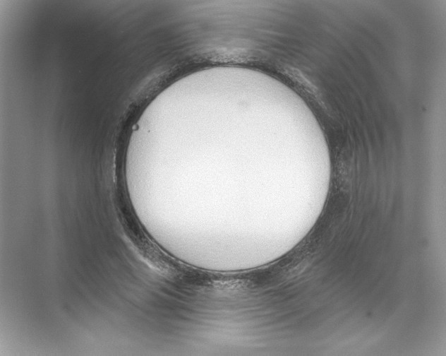 X0000074300686200609222335