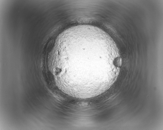 X0000074300687200609222335