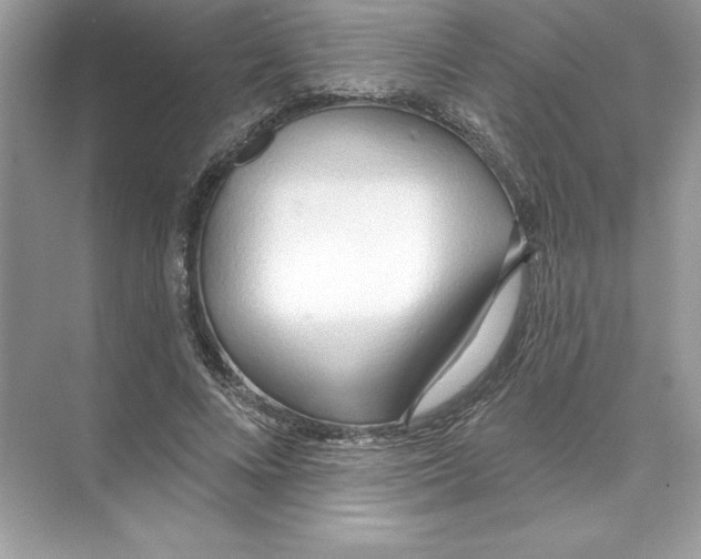 X0000074300688200609222335