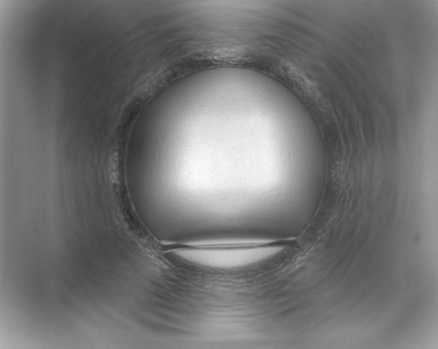 X0000074300689200609222335