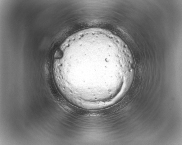 X0000074300691200609222335