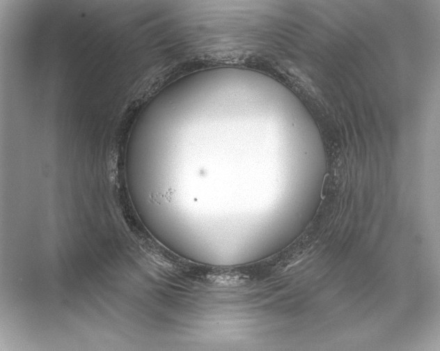 X0000074300693200609222335